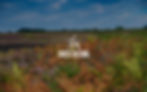 Forest Biltong Logo Photo Image-01.jpg