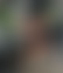 Snatch and Clean & Jerk: A Simplified Guide