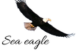 Без фона.png