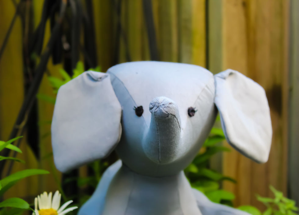 Thumbnail: Ellie The Elephant