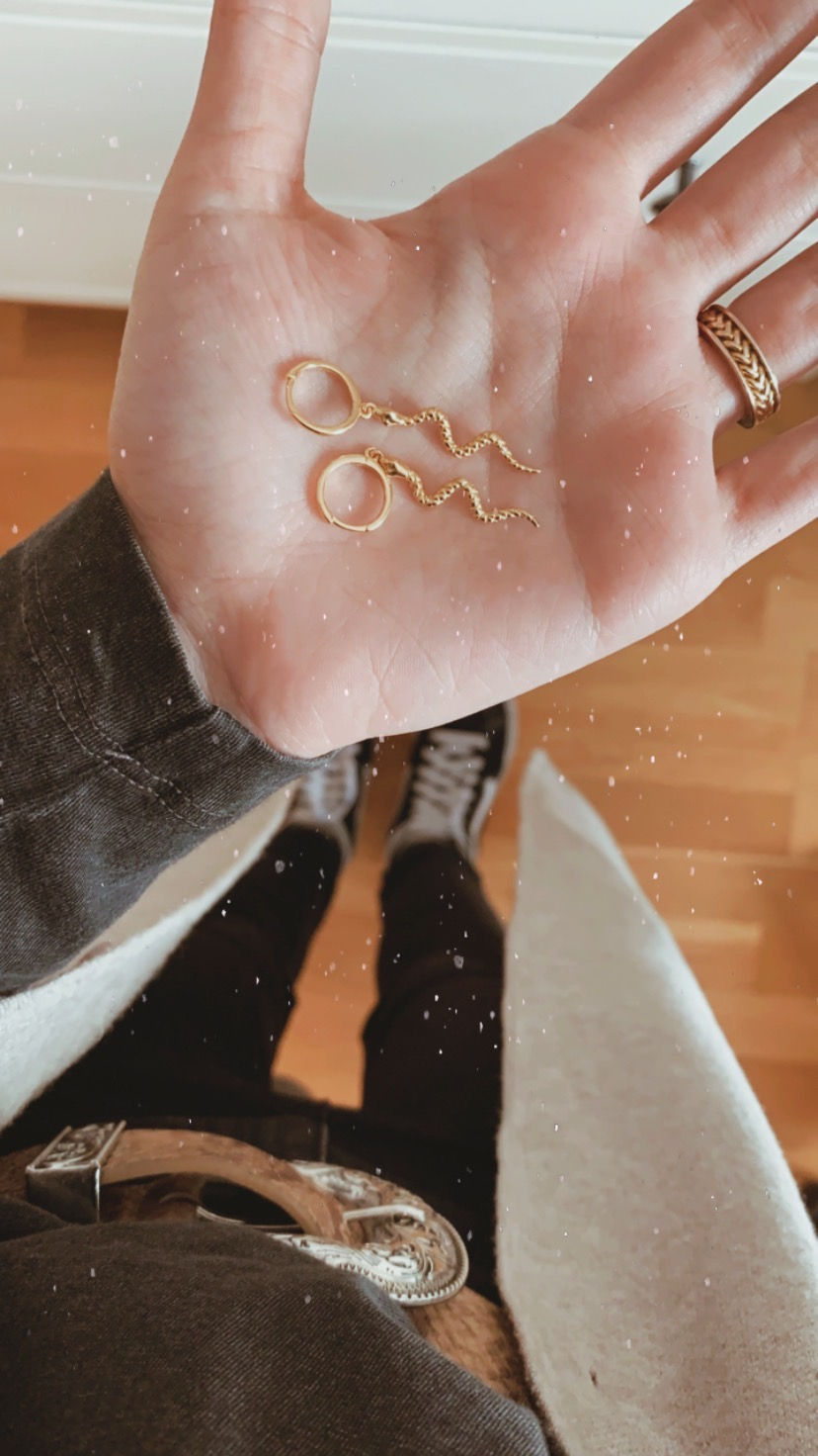 Miniatura: Aritos serpiente plata de ley