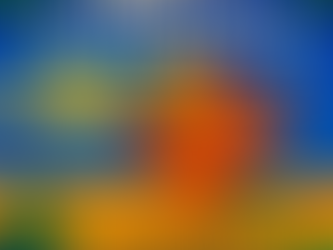 Front cover of book 'Rosie's Mystery Quest'