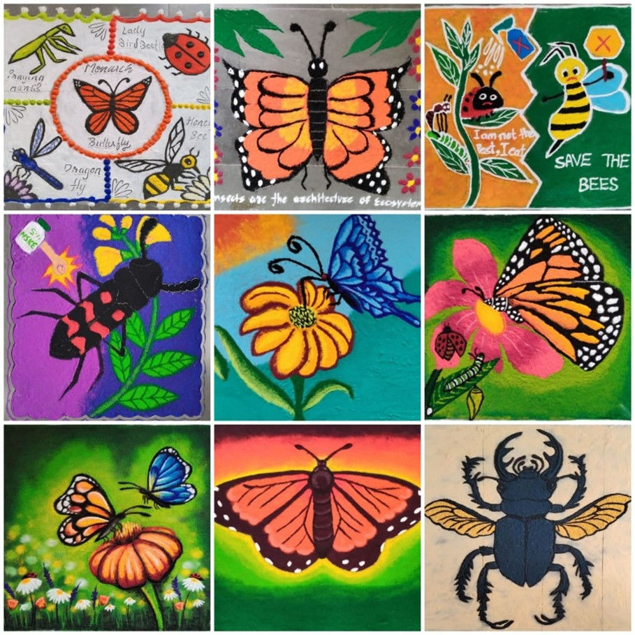 Rangolis from the Artistic Contest of Insect Art Fest