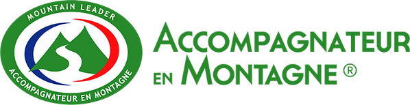 Les-AEM.png
