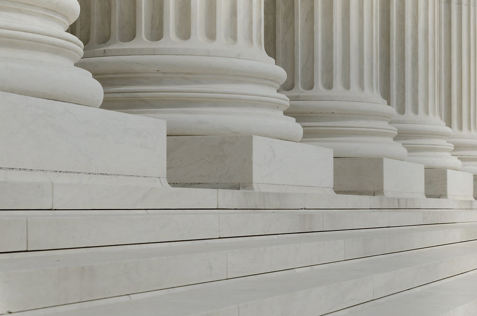 Government industry