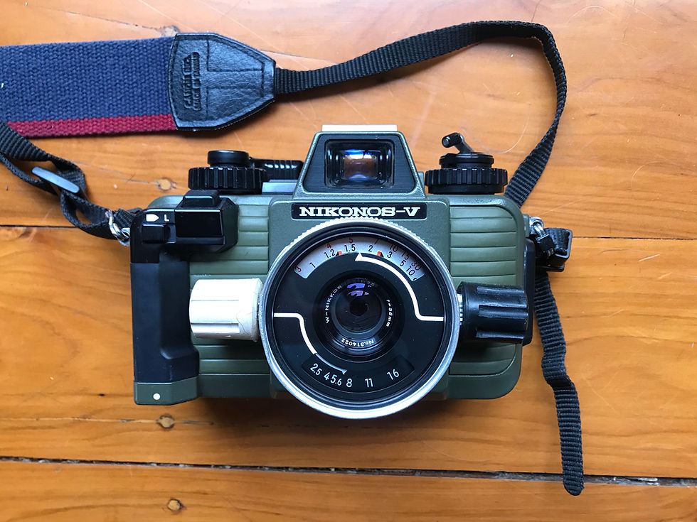 The Nikonos V