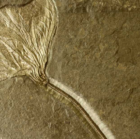La nuit, à quelques encablures du réel