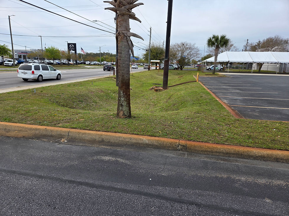 Commercial Landscaping