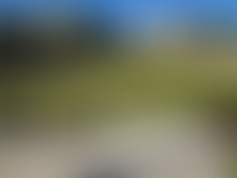 landscaping services in Navarre FL showing fresh lawn and backyard upgrade