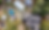 Screenshot 2024-09-20 180243.png