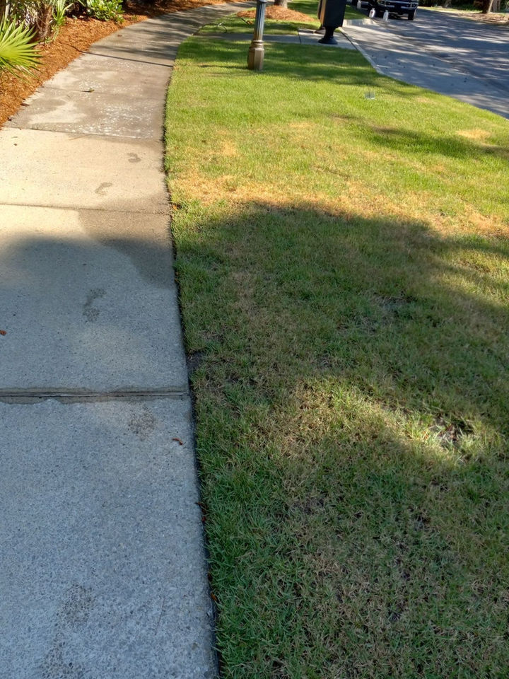 Pristine sidewalk restoration by 30A Power Washing and Paver Sealing, showcasing a seamless clean for a refreshed look.