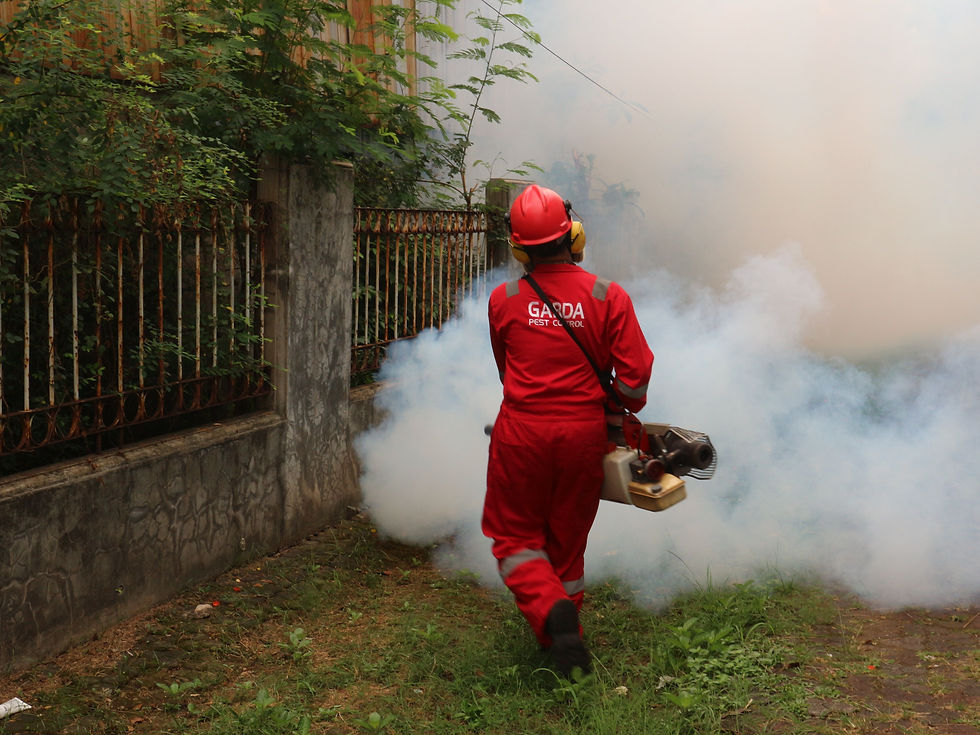 Pest control company marketing services by Quicke Marketing