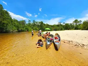 Canoes resting on a white sandbar along the Blackwater River in Escambia County, Florida, with visitors relaxing in shallow clear water during a scenic river canoe trip.