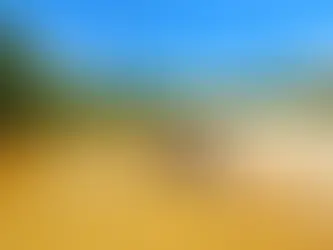 Canoes resting on a white sandbar along the Blackwater River in Escambia County, Florida, with visitors relaxing in shallow clear water during a scenic river canoe trip.