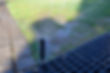 Sprinkler head irrigating a grassy lawn near a drainage grate and stone paver walkway