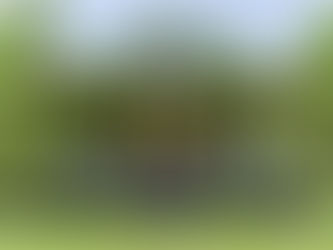 Green cabin with a covered front porch, outdoor seating, wooden posts, and surrounding trees and grass at Blackwater Joe’s Canoes.