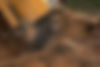 stump grinding 1.jpg