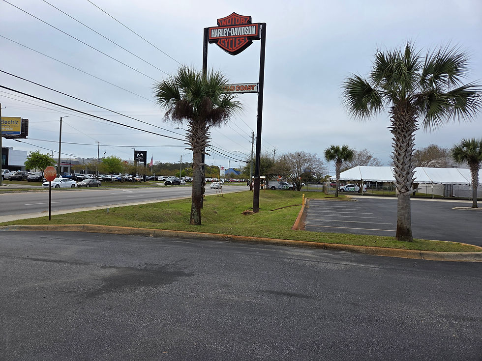 95a01c_af3508bd30f84c198fd4715e7d1dc2ef~mv2 (1).jpg