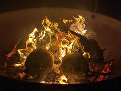 714BA939-1F1F-4BC5-9239-1815B6226580.jpeg