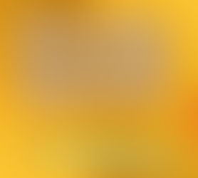 9.9.24 LVA Weekly Update
