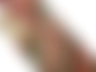 貴州茅台酒 マオタイ サンフラワー