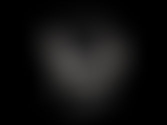 Tiffany ティファニー ジーグフェルドコレクション ブラックオニキスデイジーリング