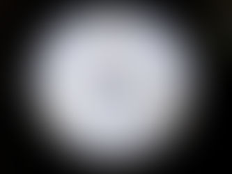 Meissen マイセン ブルーオニオン 透かし 金彩 