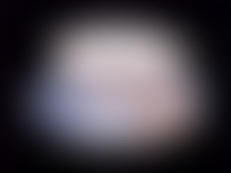 ウェッジウッド バタフライブルーム ブルー