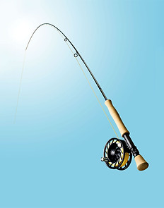 Catch n Release Fishing
