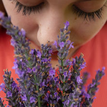 Why Do We Experience Nose Blindness and What Can We Do About It?