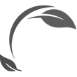 reuse and recycle icon