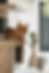 Ginger cat resting indoors in a home environment, relevant to essential oil safety around cats