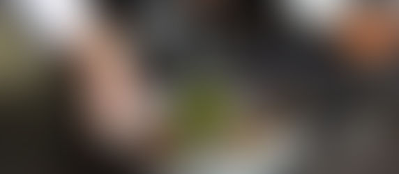 An In-Depth Look at Brasserie Árran on a Hurtigruten Ship