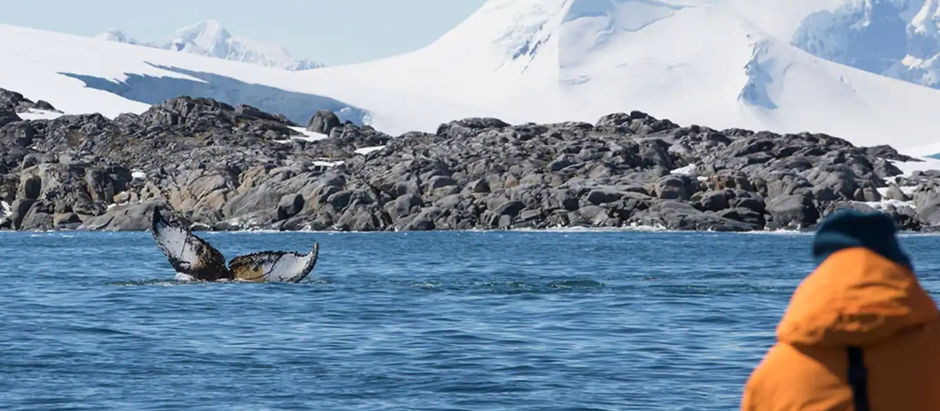 Exploring the Unexplored: Seabourn's 2026-2027 Expedition Cruises Announced!