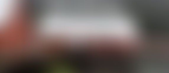 Alaska Cruise - Icy Strait Point Port Guide