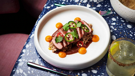 A Closer Look at Pink Agave on a Virgin Voyages Ship