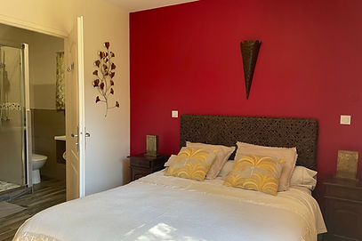 Chambre Jaipur
