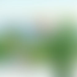 Yaz Meyhanesi: Deniz Kenarında Rakı-Balık Rehberi