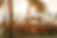 AdobeStock_320791417.jpeg