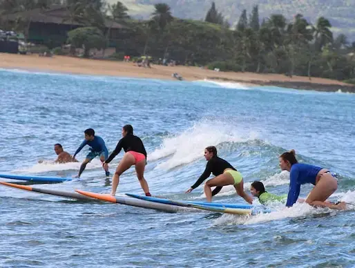圖片來自 ( Sea & Board Sports Hawaii )