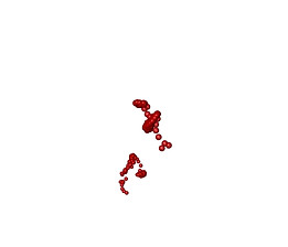 002.jpg
