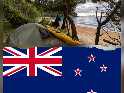 Sea Kayaking with Penguins – Abel Tasman Coast, New Zealand 🇳🇿 2024