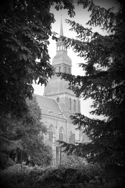 Basilique St-Sauveur, Dinan - France