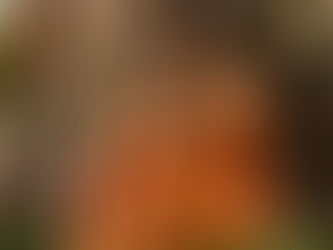 ¡¡Atrévete a elevar tus expectativas!!