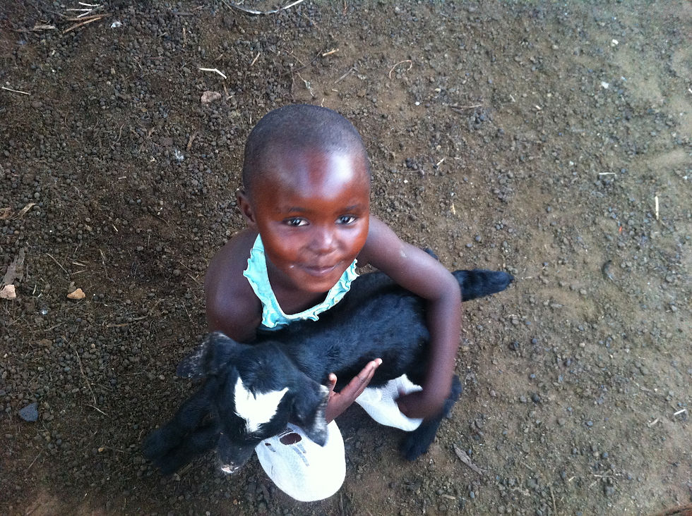 jeune enfant zimbabwéenne tenant une chèvre dans les bras