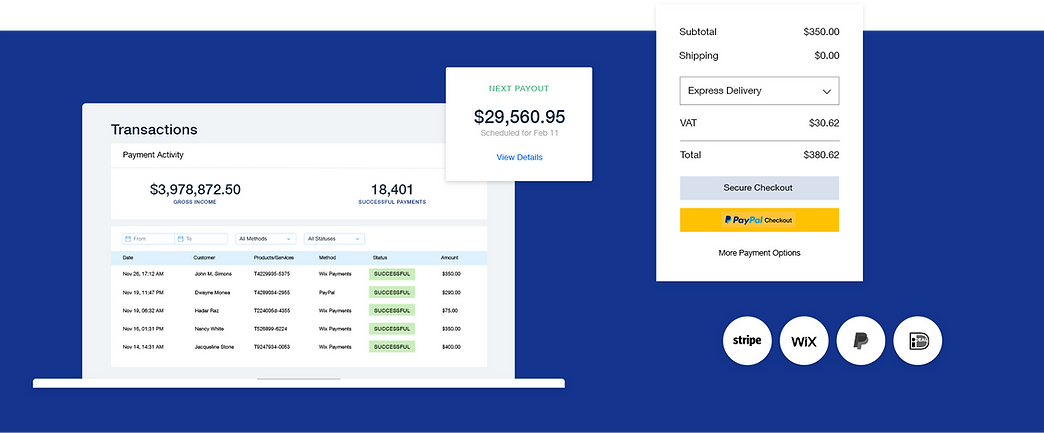 eCommerce business payment options with transaction table, secure store checkout, payment providers and payout schedule.