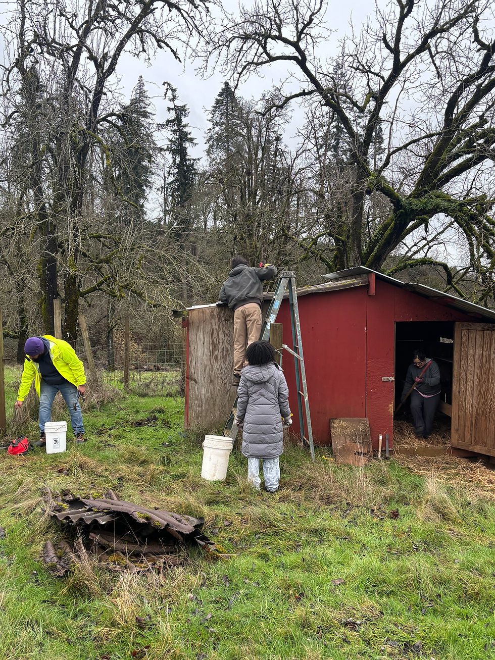 Elderberry Wisdom Farm expands to form second Native Plant Nursery