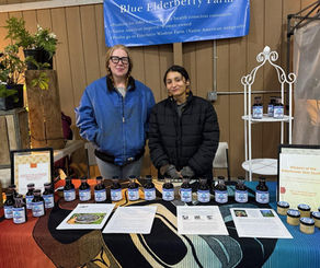 Wisdom of the Elderberry Syrup launches 