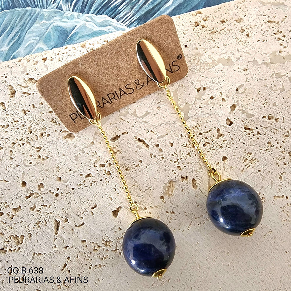 CG.B 638 - Sodalite earrings