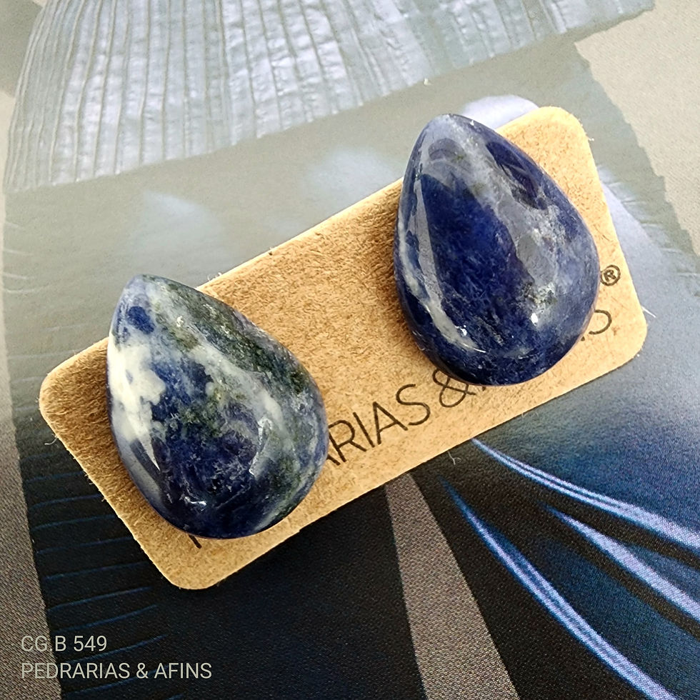 CG.B 549 - Sodalite earrings